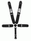 RideTech Ridetech 5-Point Harness with Camlock Release - 49999999