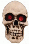 Gennie Shifter Resin Skull with Red Eyes Shift Knob - KNOBSK1003
