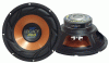 12 inch subwoofer Pair