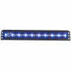 Universal Anzo 12 Inch Slimline LED Light Bar - Blue - 861150